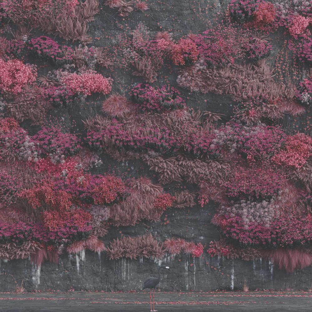 Un 2025 recorriendo discos